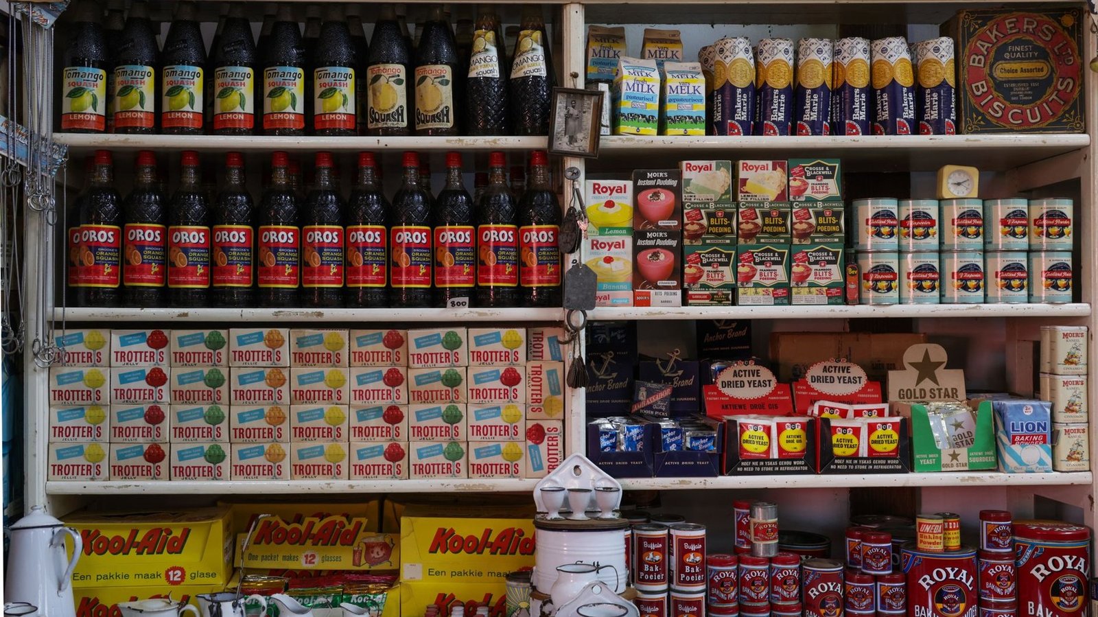 Top 5 Premium-Hundefutter für den Vorrat im Eigenheim